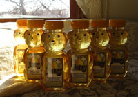 6 - 12 oz. Honey Bear Multipack - More Details